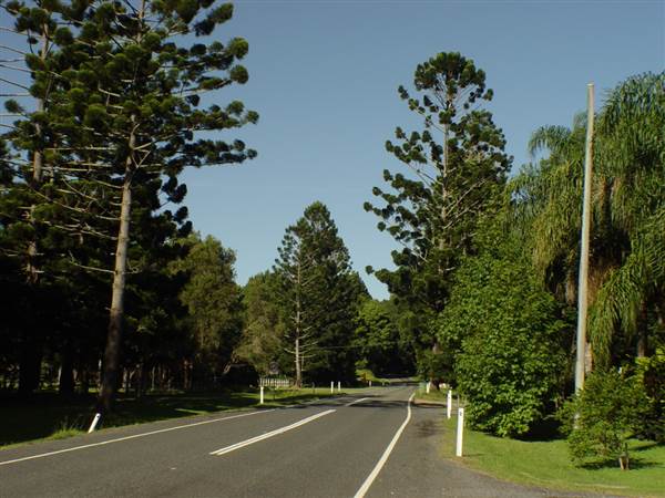 Currumbin Creek Road (23/08/2007)