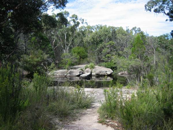 Warwick Region - Girraween National Park (25/09/2006)