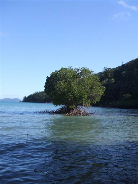 Hook Island (21/07/2009)