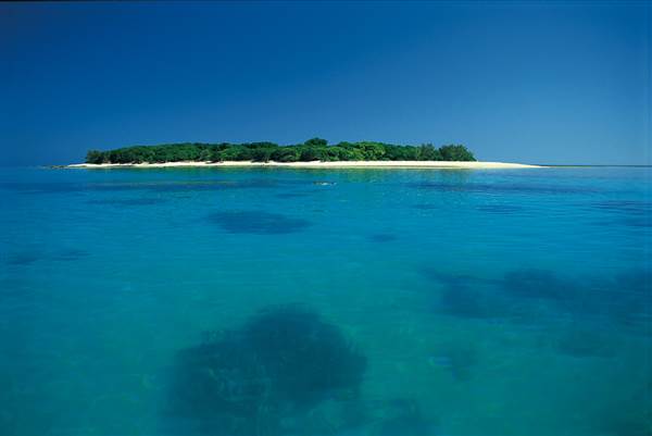 Great Barrier Reef - Lady Musgrave Island - Wallaginji (10/03/2008)