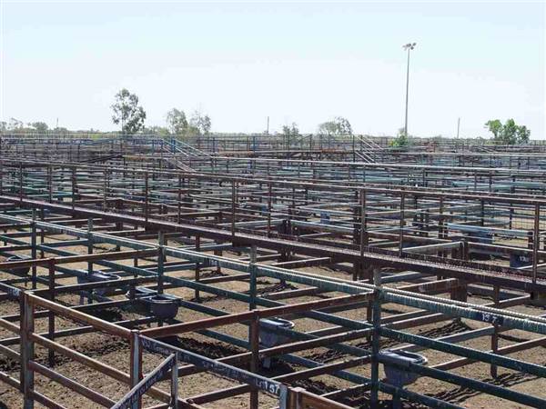 Longreach Township (26/09/2005)