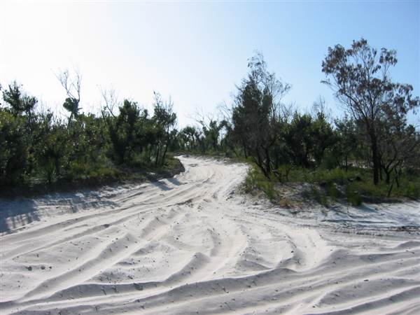 Mulgumpin (Moreton Island) (14/05/2009)