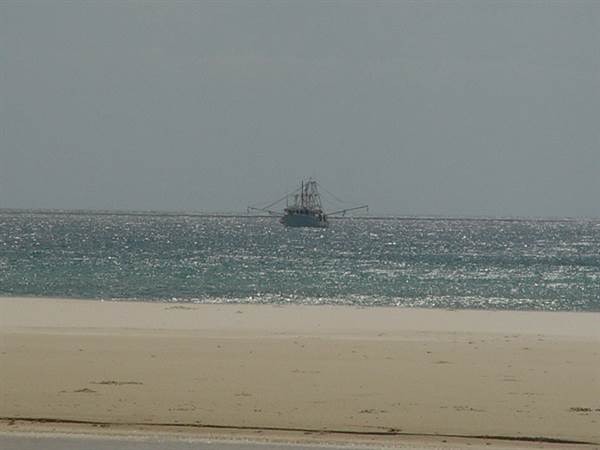 Mulgumpin (Moreton Island) (14/05/2009)