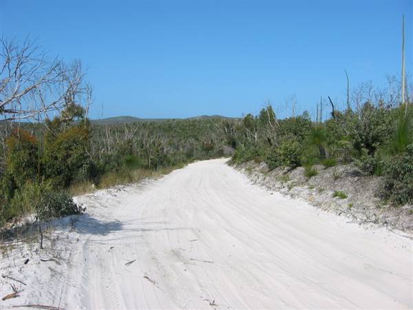 Mulgumpin (Moreton Island) (14/05/2009)