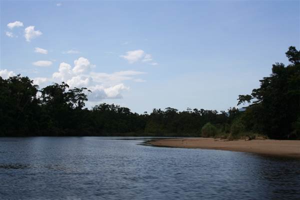 Mulgrave River (Cairns Region) (25/09/2007)