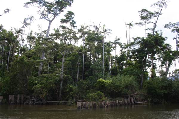Mulgrave River (Cairns Region) (25/09/2007)