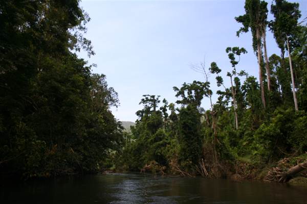 Mulgrave River (Cairns Region) (25/09/2007)