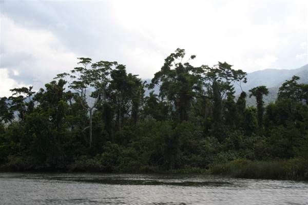 Mulgrave River (Cairns Region) (25/09/2007)