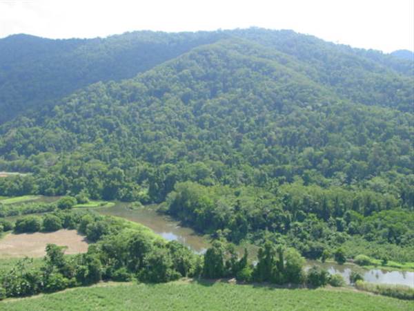 Mulgrave River (Cairns Region) (25/09/2007)