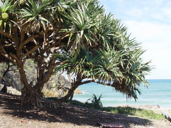 Minjeeribah (North Stradbroke Island) - Overview (29/01/2009)