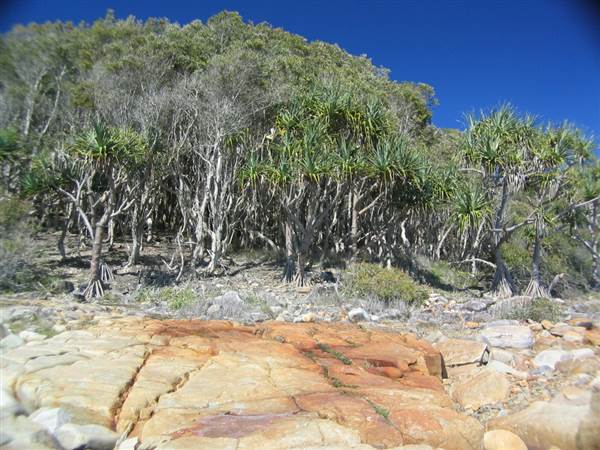 Sunshine Coast Region - Noosa National Park (12/10/2007)