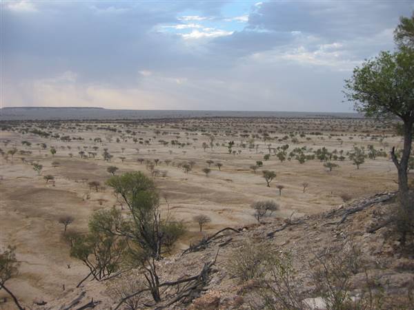 Rangelands Station (14/10/2005)