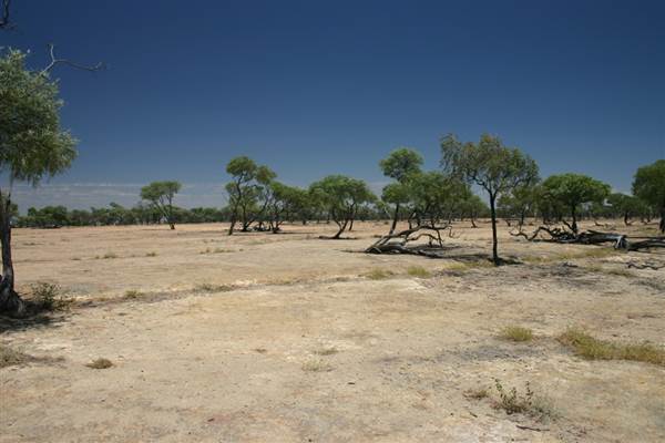 Rangelands Station (14/10/2005)
