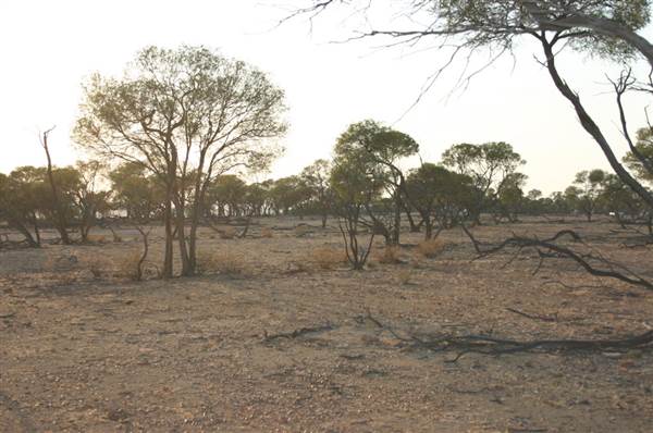 Rangelands Station (14/10/2005)
