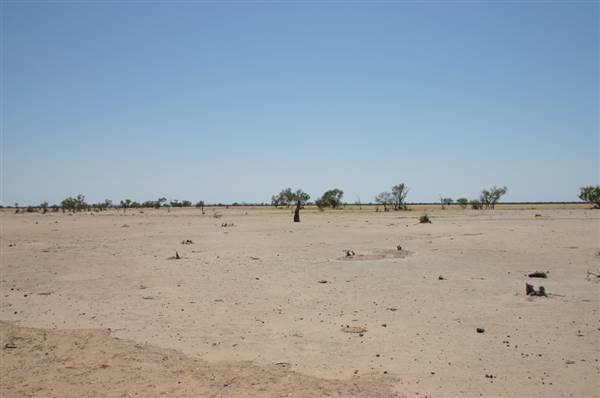 Rangelands Station (14/10/2005)
