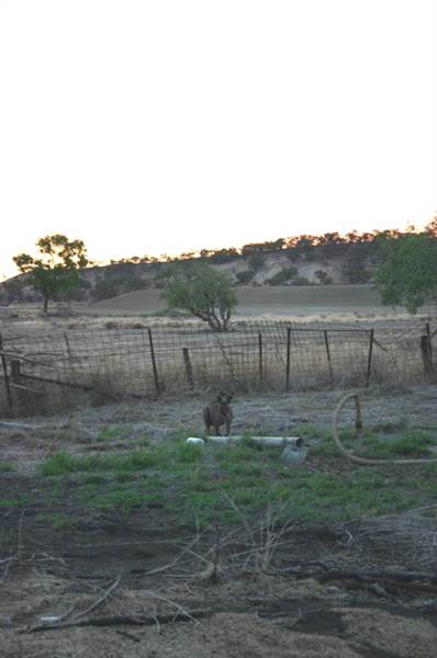 Rangelands Station (14/10/2005)