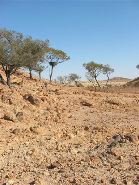 Rangelands Station (14/10/2005)