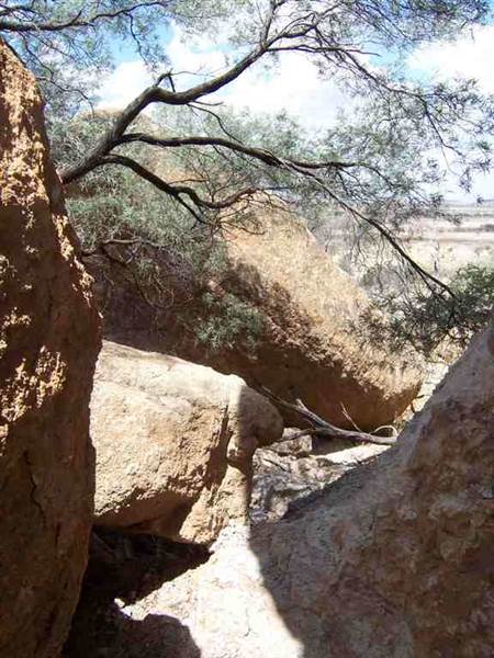 Rangelands Station (14/10/2005)