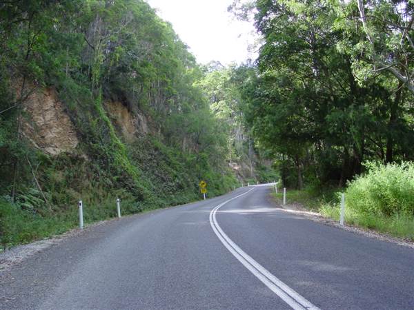 Springbrook National Park (26/09/2007)