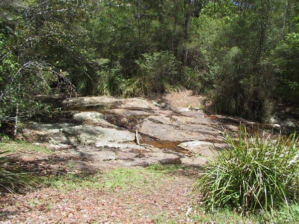 Springbrook National Park (26/09/2007)