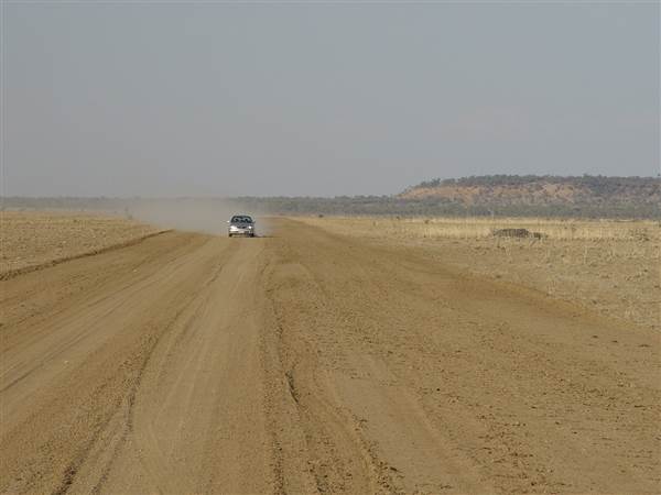 Muttaburra - Aramac Rd (18/11/2013 - Credits: Chris Strewe)