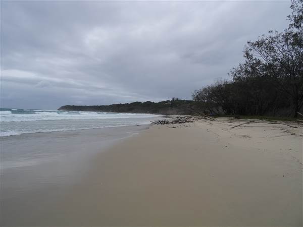 Minjeeribah (North Stradbroke Island) - Home Beach (1/02/2014 - Credits: Angus Ledgerwood)