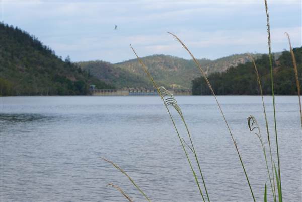 Somerset Dam (The Spit) (3/02/2014)