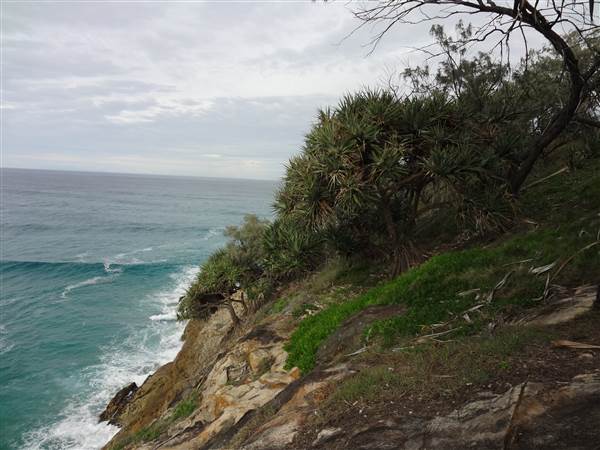 Gorge Walk, Point Lookout (3/02/2014 - Credits: Angus ledgerwood)