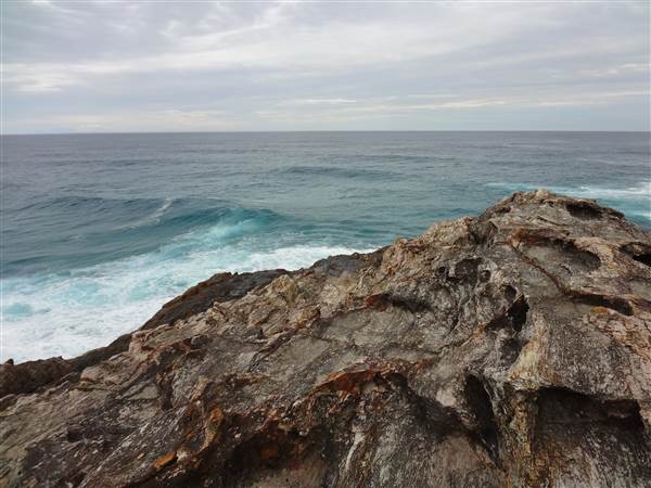 Gorge Walk, Point Lookout (3/02/2014)