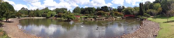 Japanese Garden - University of Southern Queensland (7/05/2014)