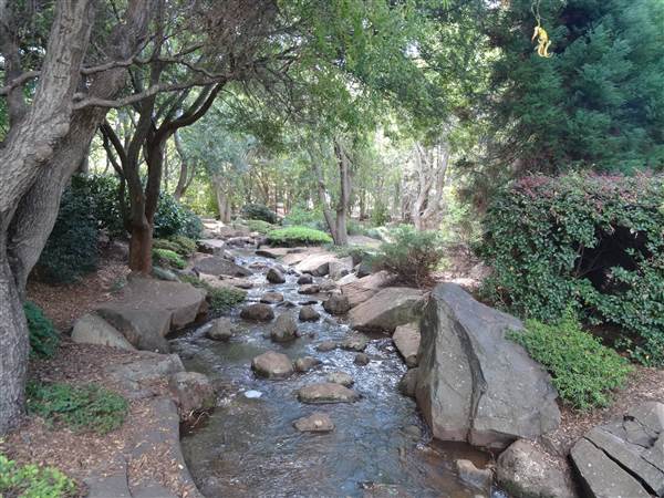 Japanese Garden - University of Southern Queensland (7/05/2014)