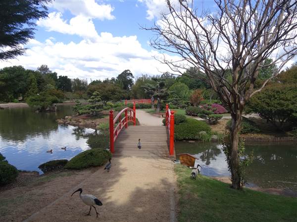 Japanese Garden - University of Southern Queensland (7/05/2014)