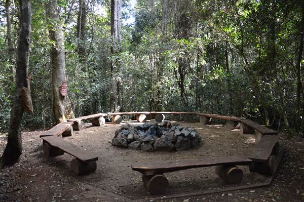O'Reillys Rainforest Retreat (19/05/2014)