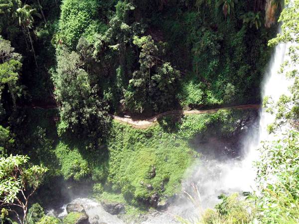 Purling Brook Falls - Springbrook National Park (21/05/2014 - Credits: Duncan Jones)