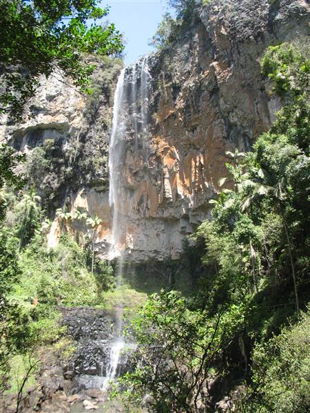 Purling Brook Falls - Springbrook National Park (21/05/2014 - Credits: Duncan Jones)