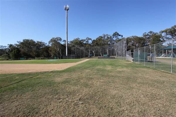 Redlands Rays Baseball (2/06/2014 - Credits: Duncan Jones)