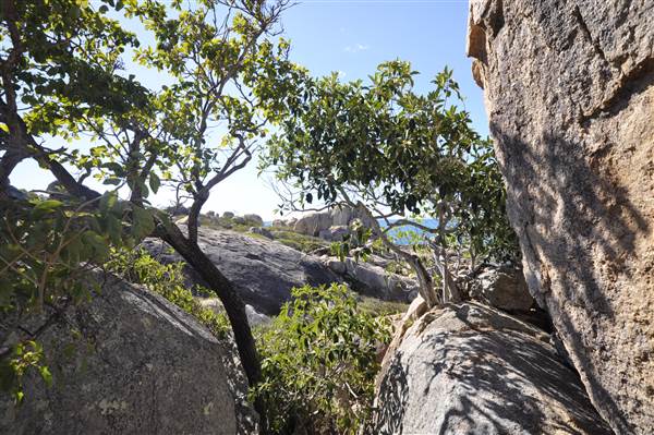 Horseshoe Bay (Bowen) (23/07/2014 - Credits: Angus Ledgerwood)
