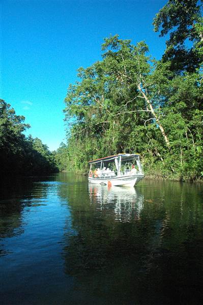 Daintree River (25/08/2014)