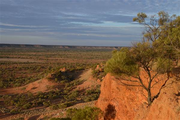 Winton Desert - General (18/11/2013)