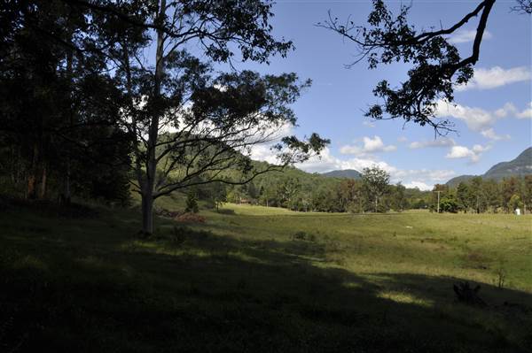 Natural Bridge - Springbrook National Park (30/04/2015 - Credits: Angus Ledgerwood)