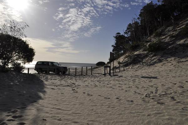 Mulgumpin (Moreton Island) - Big Sand Hills (11/04/2015 - Credits: Angus Ledgerwood)