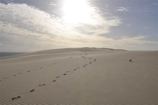 Mulgumpin (Moreton Island) - Big Sand Hills (11/04/2015 - Credits: Angus Ledgerwood)
