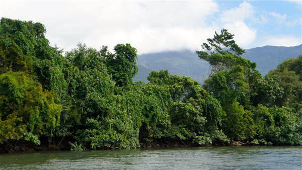Mulgrave River (Cairns Region) (25/06/2015)