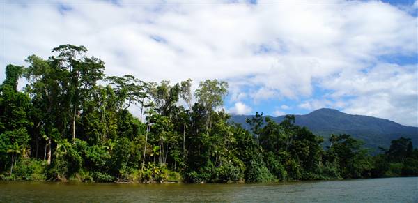 Mulgrave River (Cairns Region) (25/06/2015)