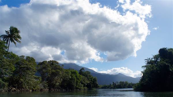 Mulgrave River (Cairns Region) (25/06/2015)