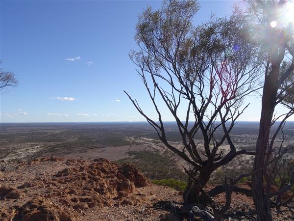 Longreach - Mount Slowcombe (22/07/2015 - Credits: Neil McGregor)