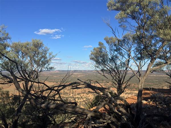 Longreach - Mount Slowcombe (22/07/2015 - Credits: Neil McGregor)