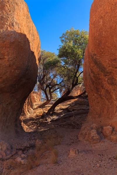 Rangelands Station (23/07/2015 - Credits: Neil McGregor)