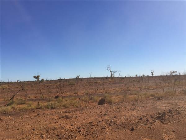 Winton-Jundah Road (24/07/2015 - Credits: Neil McGregor)