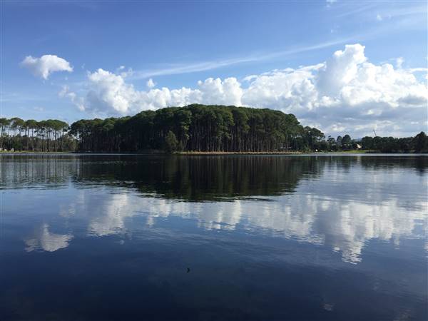 Pine Forest, Riverside Skate Park & Open Sports Fields - Pizzey Park